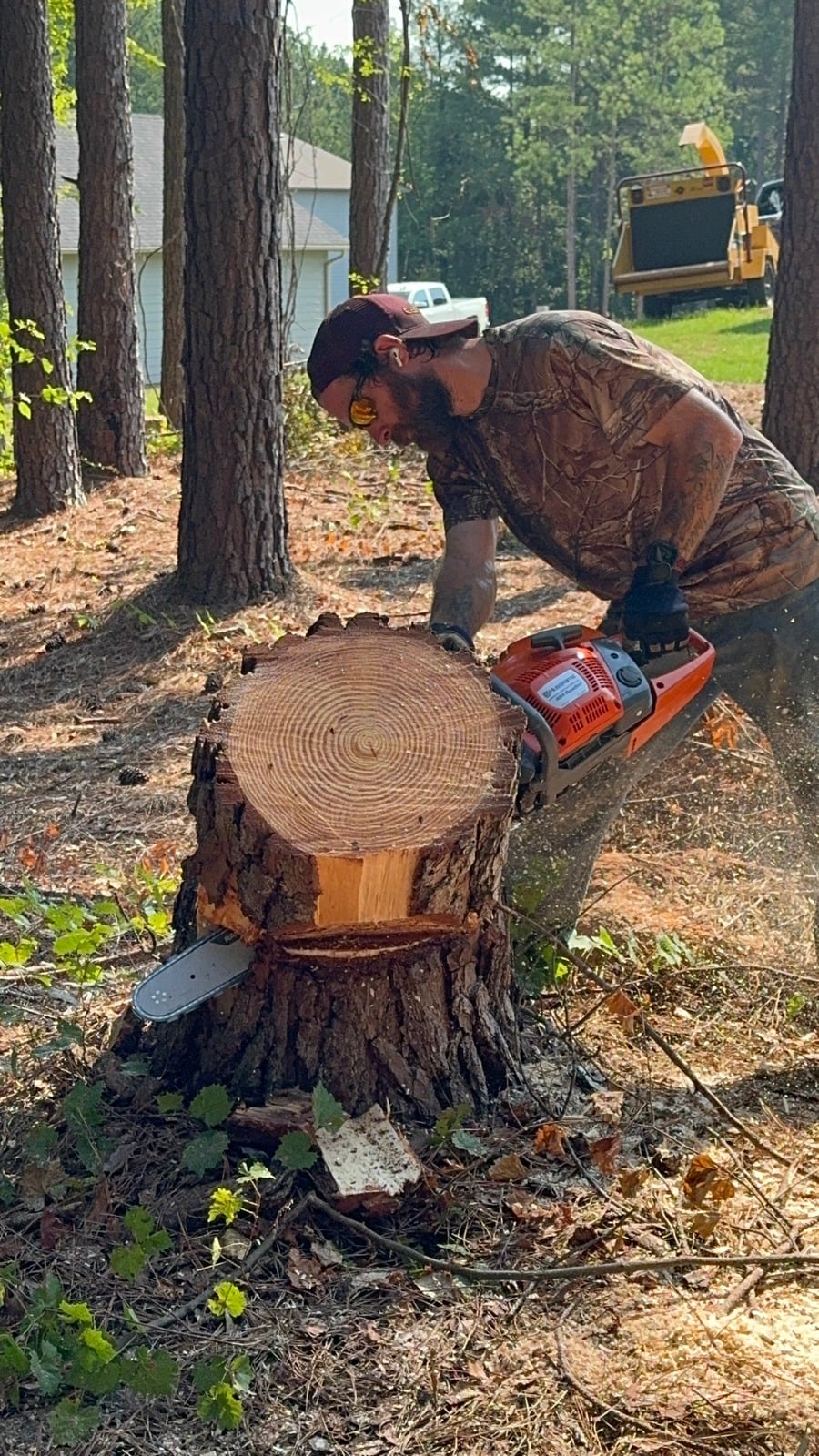 Joshua working on a tree removal project with a chainsaw